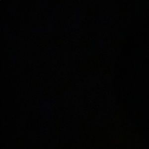 Meet your Posher, Kelsie